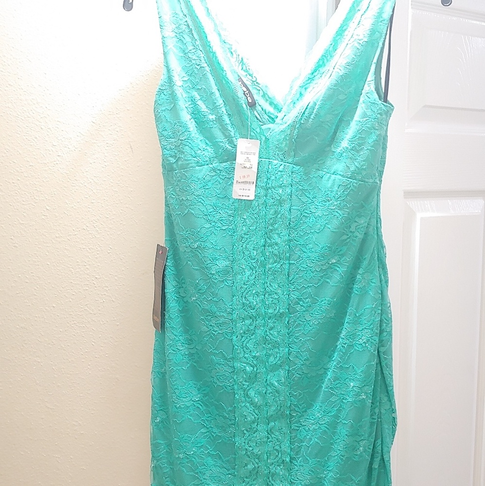 Beautiful lace side zipper Bebe dress
